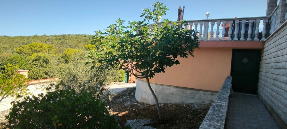 Teren ogrodu z drzewem i wejściem do domu