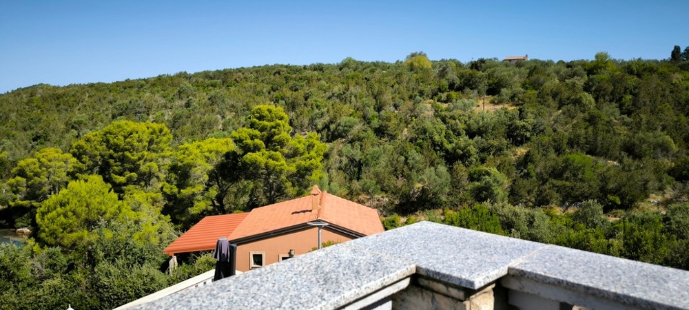 Widok z tarasu na zielone wzgórza