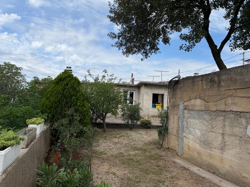 Teren ogrodu z budynkami gospodarczymi i drzewami