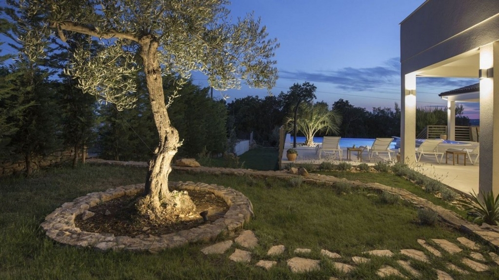 Ogród z oświetlonym drzewem oliwnym i widokiem na basen wieczorem
