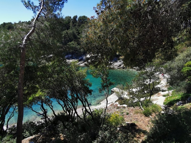 Dom w pierwszym rzędzie na sprzedaż w Chorwacji.