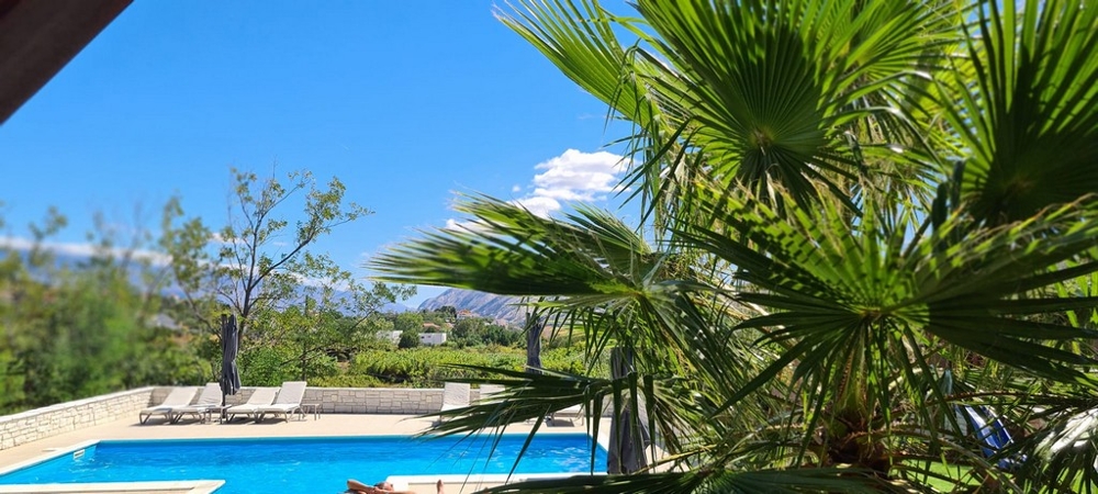 Basen z widokiem na palmy