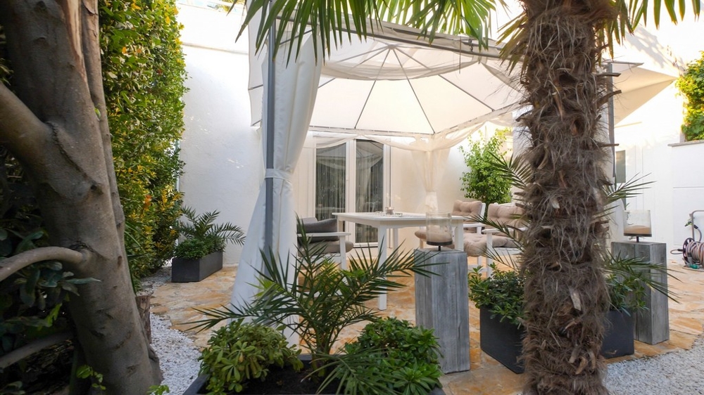 Zielone patio z palmami
