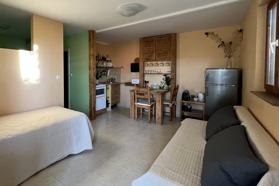 Studio z aneksem kuchennym i częścią sypialną