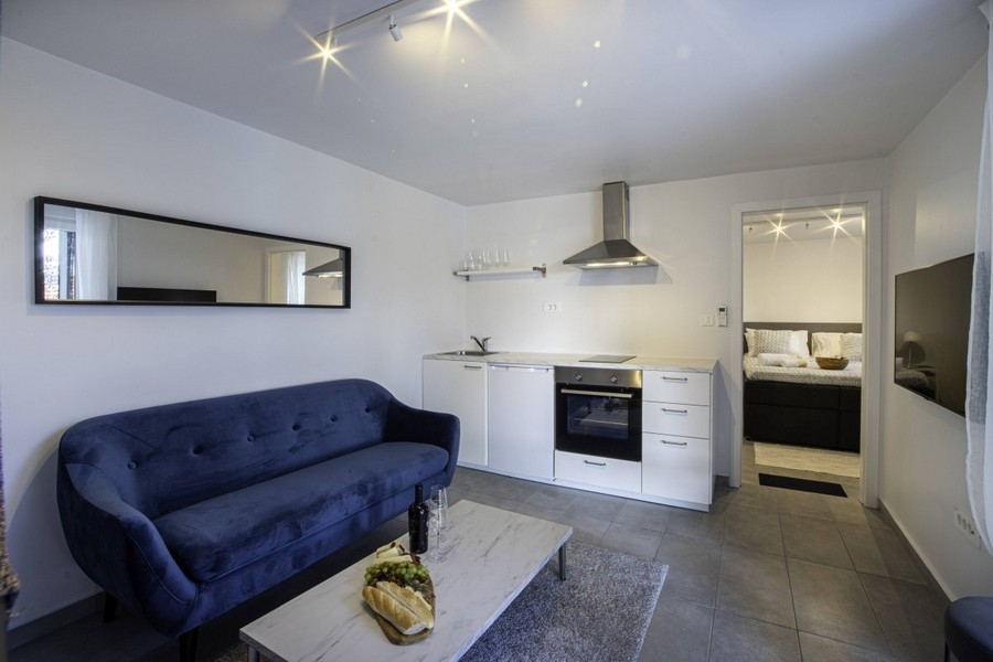 Część dzienna z sofą i otwartym aneksem kuchennym