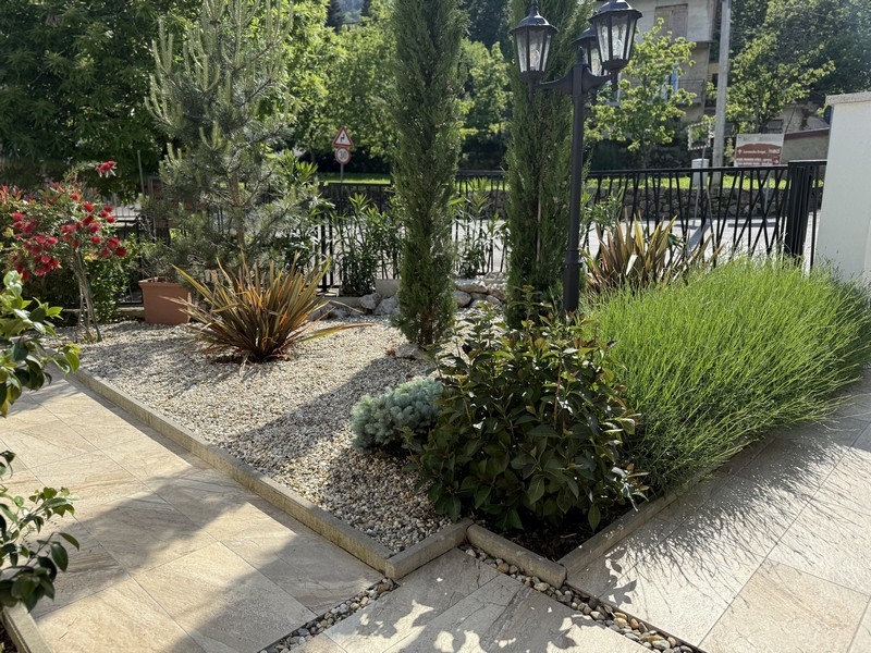 Zadbany ogród z roślinnością śródziemnomorską