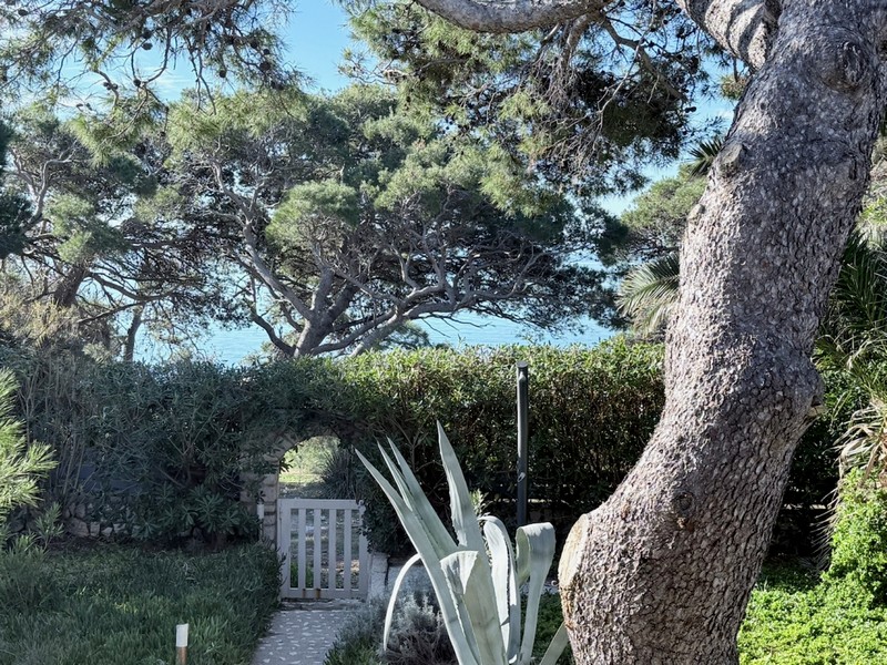 Widok na okolicę Morza Śródziemnego i morze.