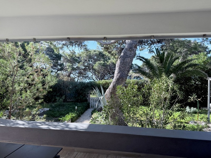 Widok z balkonu na zielony ogród ze starymi drzewami i prywatnością