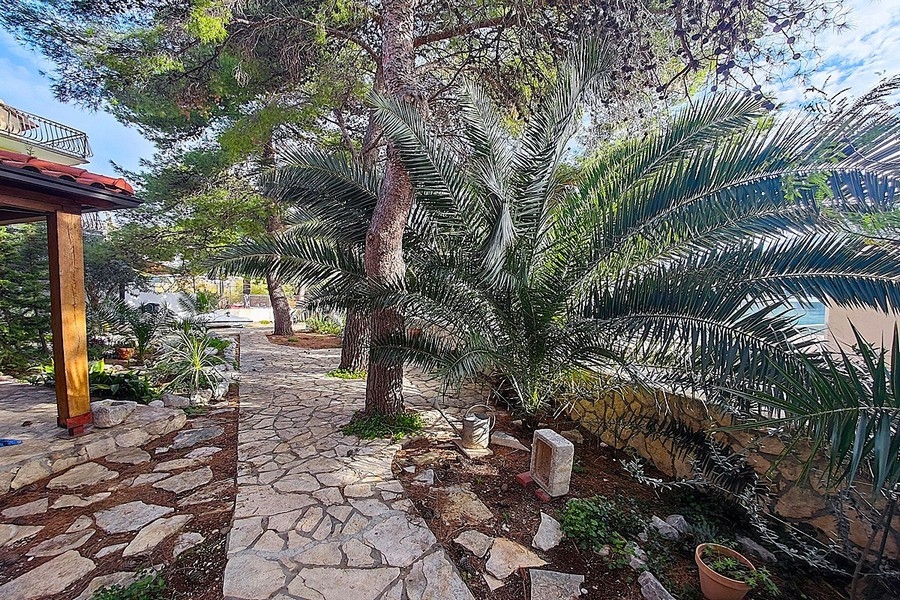 Ogród śródziemnomorski z naturalną kamienną ścieżką i palmami