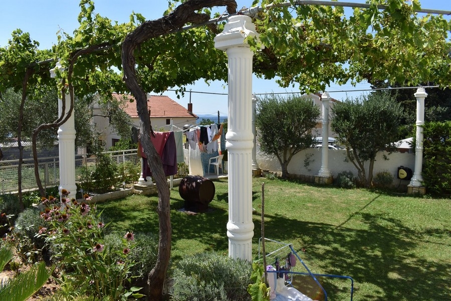Pergola z winoroślą w ogrodzie