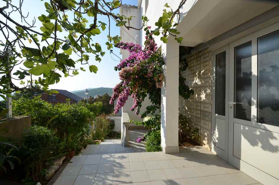 Powierzchnia zewnętrzna dwóch DHH na sprzedaż na Korculi w Chorwacji